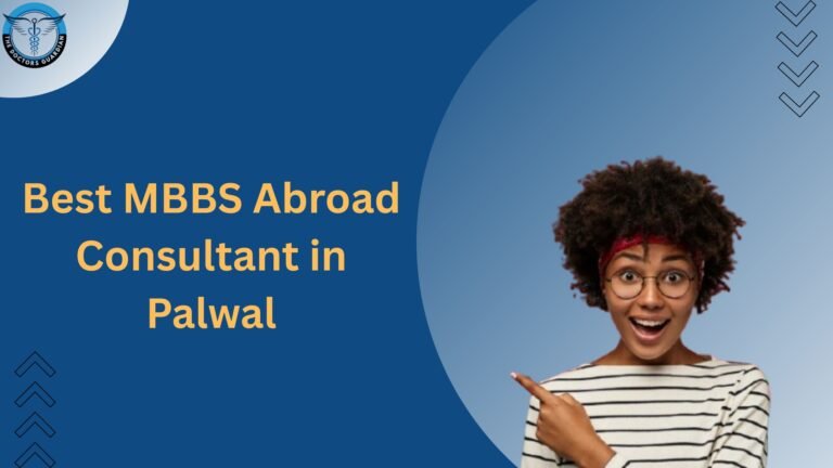 Best MBBS Abroad Consultant in Palwal